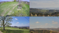 Sdružený snímek Bludný