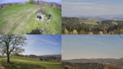 Sdružený snímek Bludný