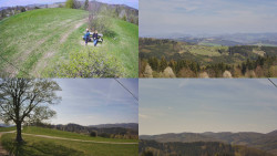 Sdružený snímek Bludný