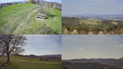 Sdružený snímek Bludný