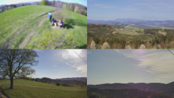 Sdružený snímek Bludný