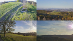 Sdružený snímek Bludný