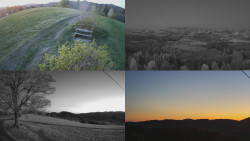 Sdružený snímek Bludný