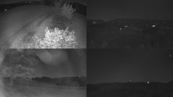 Sdružený snímek Bludný