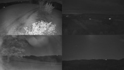 Sdružený snímek Bludný