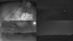 Sdružený snímek Bludný