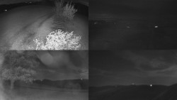 Sdružený snímek Bludný