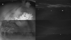 Sdružený snímek Bludný