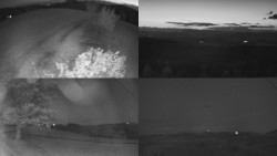 Sdružený snímek Bludný