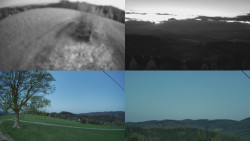 Sdružený snímek Bludný