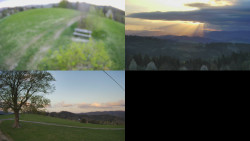 Sdružený snímek Bludný