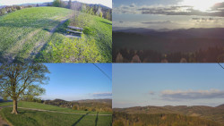 Sdružený snímek Bludný