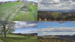 Sdružený snímek Bludný