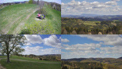 Sdružený snímek Bludný