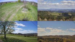 Sdružený snímek Bludný