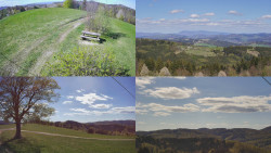 Sdružený snímek Bludný