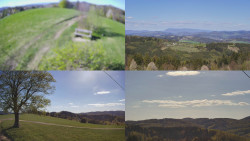 Sdružený snímek Bludný