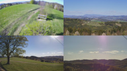 Sdružený snímek Bludný