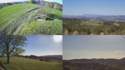 Sdružený snímek Bludný