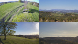 Sdružený snímek Bludný