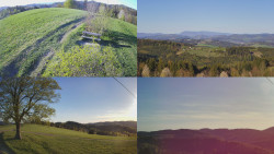 Sdružený snímek Bludný