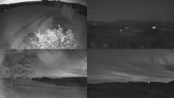 Sdružený snímek Bludný