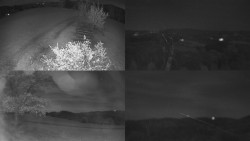 Sdružený snímek Bludný