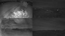 Sdružený snímek Bludný