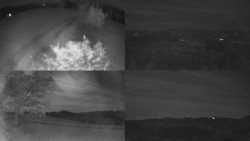 Sdružený snímek Bludný