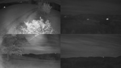 Sdružený snímek Bludný