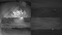 Sdružený snímek Bludný