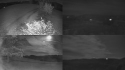 Sdružený snímek Bludný