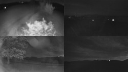 Sdružený snímek Bludný