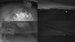 Sdružený snímek Bludný