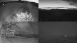 Sdružený snímek Bludný