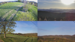 Sdružený snímek Bludný