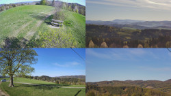 Sdružený snímek Bludný