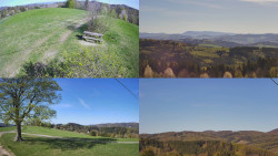 Sdružený snímek Bludný