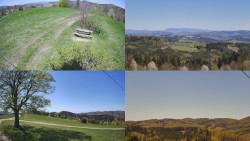 Sdružený snímek Bludný