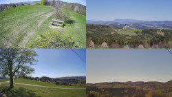 Sdružený snímek Bludný