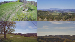 Sdružený snímek Bludný