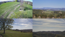 Sdružený snímek Bludný