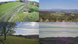 Sdružený snímek Bludný