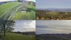 Sdružený snímek Bludný