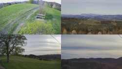 Sdružený snímek Bludný