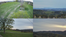 Sdružený snímek Bludný