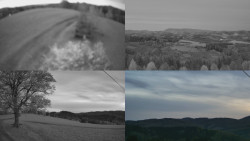 Sdružený snímek Bludný