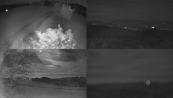 Sdružený snímek Bludný