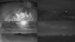 Sdružený snímek Bludný