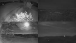 Sdružený snímek Bludný